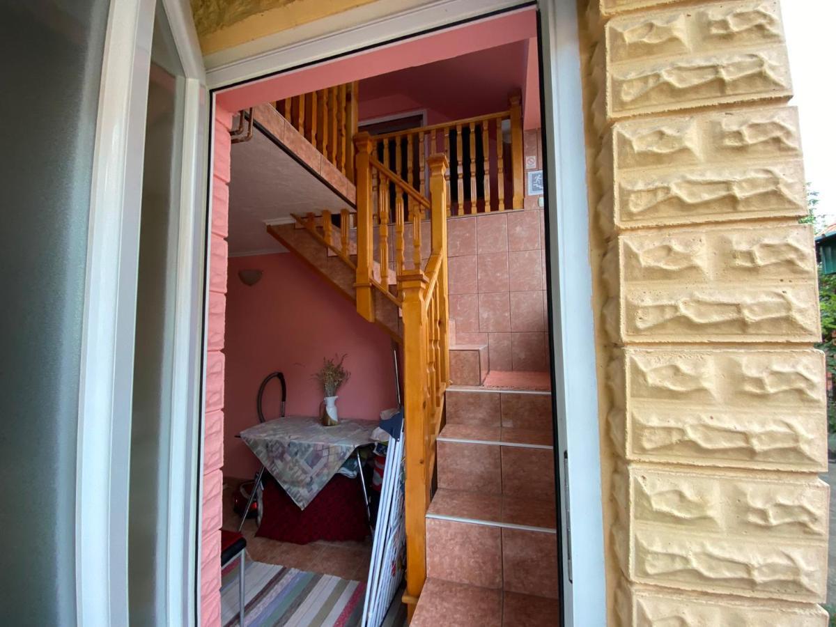 Bed and Breakfast Sud ,,Antal I Olga,, Skorenovac Екстер'єр фото