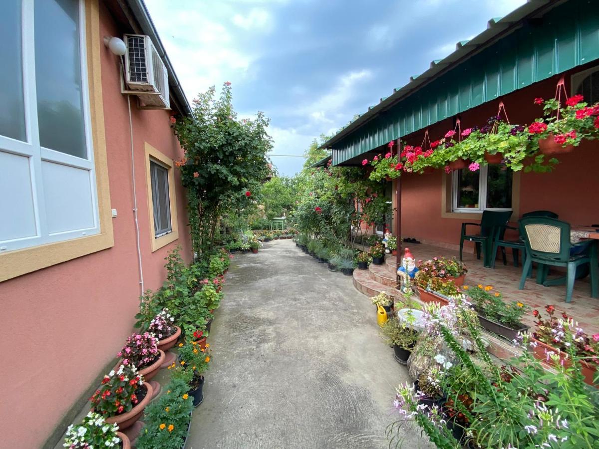 Bed and Breakfast Sud ,,Antal I Olga,, Skorenovac Екстер'єр фото