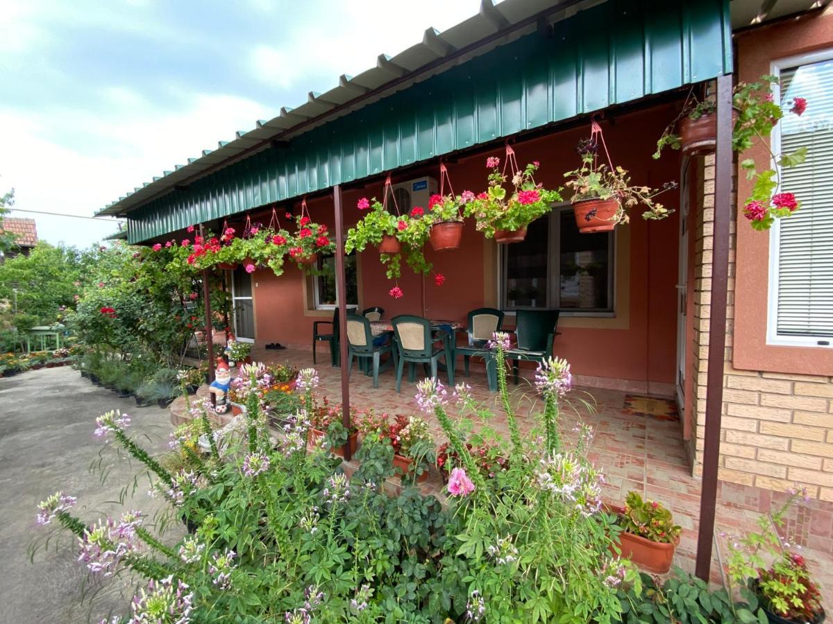 Bed and Breakfast Sud ,,Antal I Olga,, Skorenovac Екстер'єр фото
