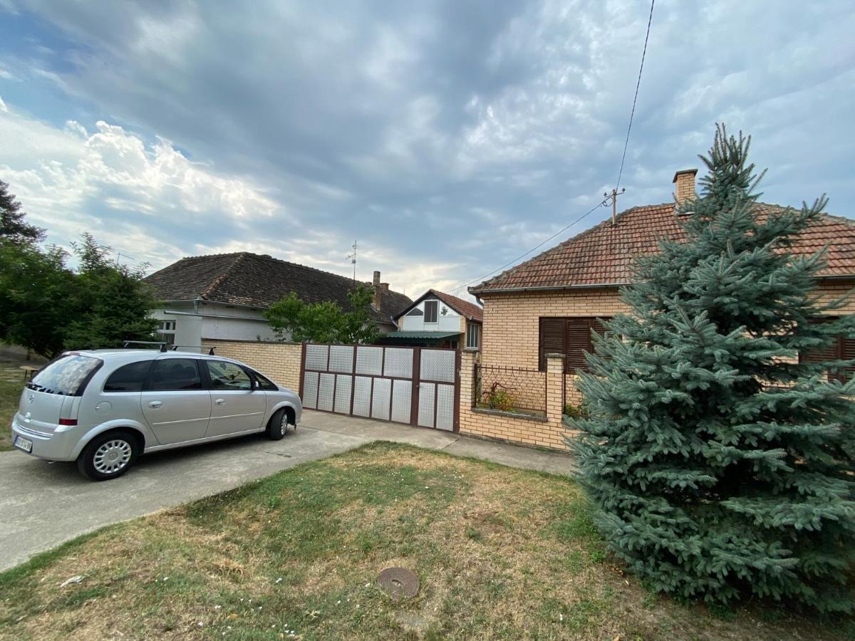 Bed and Breakfast Sud ,,Antal I Olga,, Skorenovac Екстер'єр фото