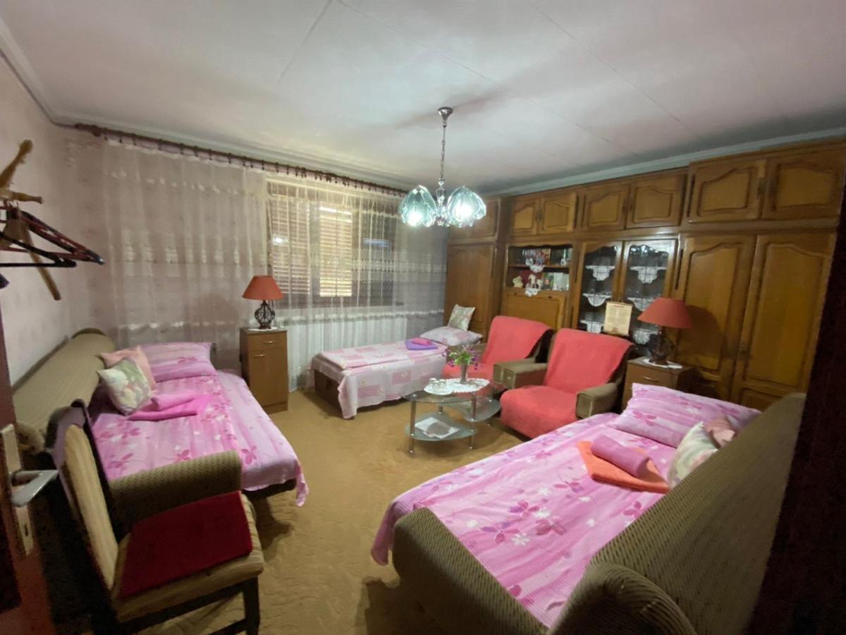 Bed and Breakfast Sud ,,Antal I Olga,, Skorenovac Номер фото
