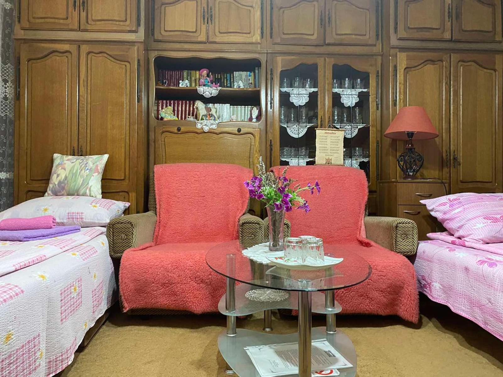 Bed and Breakfast Sud ,,Antal I Olga,, Skorenovac Номер фото
