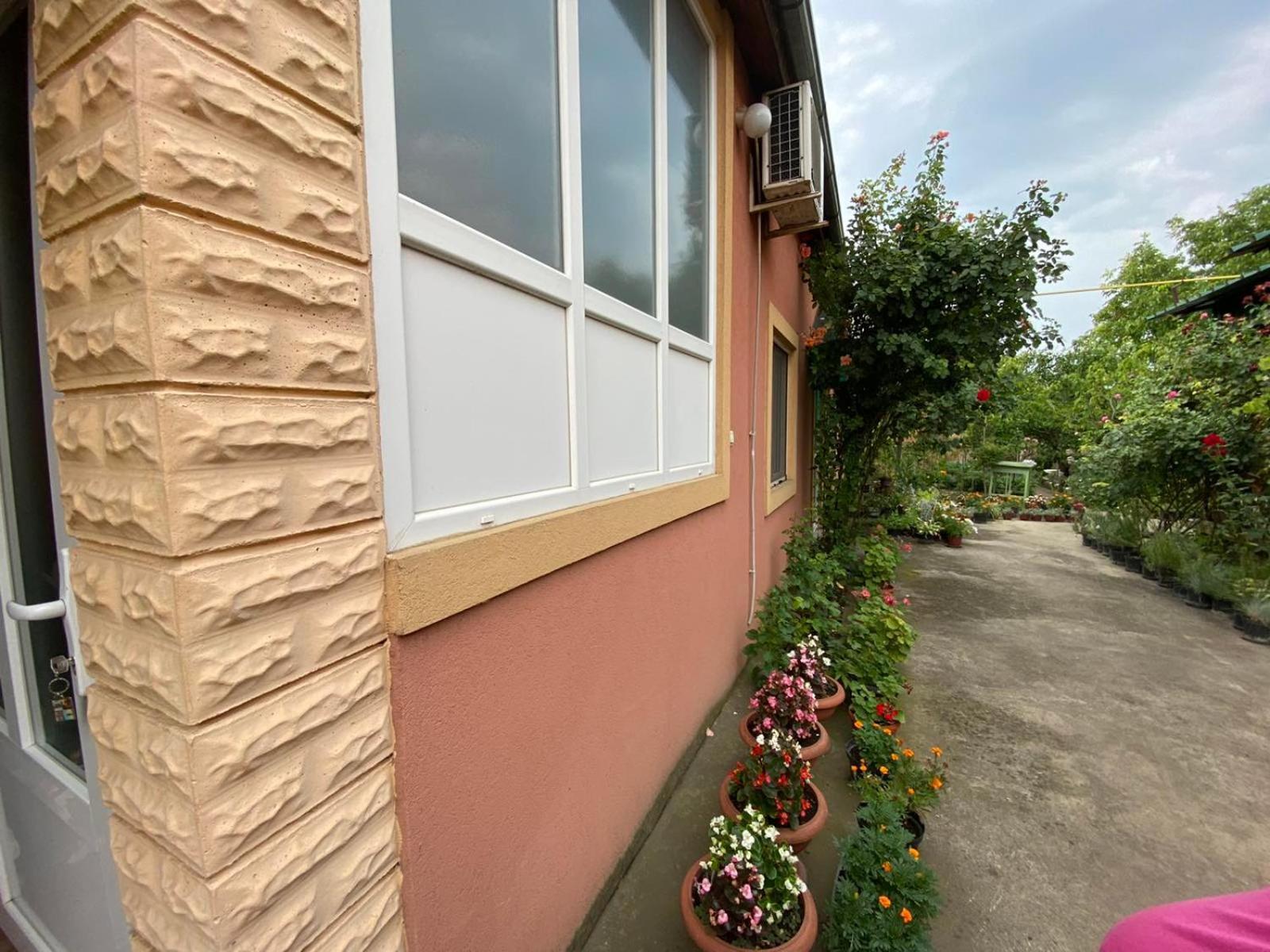 Bed and Breakfast Sud ,,Antal I Olga,, Skorenovac Номер фото